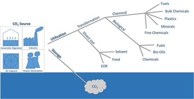 The Social Acceptance of Carbon Dioxide Utilisation: A Review and Research Agenda